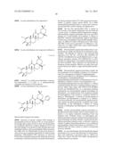 COMPOSITIONS AND METHODS OF TREATMENT OF CORNEAL ENDOTHELIUM DISORDERS diagram and image