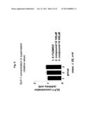 GLYCOSIDE COMPOUND diagram and image