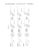 GLYCOSIDE COMPOUND diagram and image