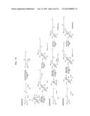 GLYCOSIDE COMPOUND diagram and image