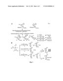 ANTI-STAPHYLOCOCCAL CELECOXIB DERIVATIVES diagram and image