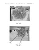 COMPOSITIONS FOR CONFERRING TOLERANCE TO VIRAL DISEASE IN SOCIAL INSECTS,     AND THE USE THEREOF diagram and image