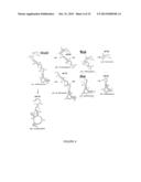 SUBUNIT-SELECTIVE NUCLEIC ACID INHIBITORS OF GLUTAMATE RECEPTORS diagram and image