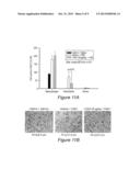 CINNAMIC ACID-BASED OLIGOMERS AND USES THEREOF diagram and image