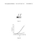 USE OF A NEW GENE CODING FOR A NEW MEMBER OF THE MCM2-8 FAMILY IN     PHARMACEUTICAL COMPOSITIONS diagram and image