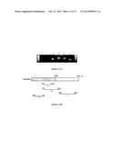 USE OF A NEW GENE CODING FOR A NEW MEMBER OF THE MCM2-8 FAMILY IN     PHARMACEUTICAL COMPOSITIONS diagram and image