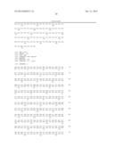 USE OF A NEW GENE CODING FOR A NEW MEMBER OF THE MCM2-8 FAMILY IN     PHARMACEUTICAL COMPOSITIONS diagram and image