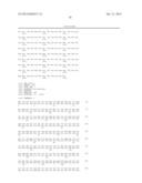 USE OF A NEW GENE CODING FOR A NEW MEMBER OF THE MCM2-8 FAMILY IN     PHARMACEUTICAL COMPOSITIONS diagram and image