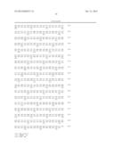 USE OF A NEW GENE CODING FOR A NEW MEMBER OF THE MCM2-8 FAMILY IN     PHARMACEUTICAL COMPOSITIONS diagram and image