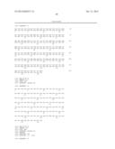 USE OF A NEW GENE CODING FOR A NEW MEMBER OF THE MCM2-8 FAMILY IN     PHARMACEUTICAL COMPOSITIONS diagram and image