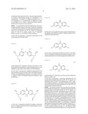 FLUORESCENT PROBE diagram and image