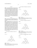 FLUORESCENT PROBE diagram and image