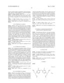 FLUORESCENT PROBE diagram and image