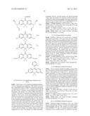 FLUORESCENT PROBE diagram and image