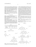 FLUORESCENT PROBE diagram and image