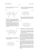 FLUORESCENT PROBE diagram and image