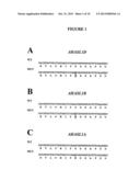 Methods And Compositions For Analyzing Ahasl Genes diagram and image