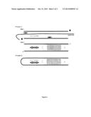 Light-Based Method for the Endovascular Treatment of Pathologically     Altered Blood Vessels diagram and image