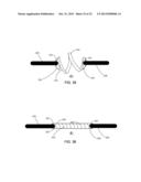 Embolic Protection Device Having Expandable Trap diagram and image