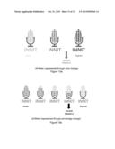 Local Storage and Conditioning Systems For Nutritional Substances diagram and image