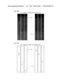 METHOD FOR PRODUCING ORGANIC LIGHT-EMITTING ELEMENT, ORGANIC DISPLAY     PANEL, ORGANIC LIGHT-EMITTING DEVICE, METHOD FOR FORMING FUNCTIONAL     LAYER, INK, SUBSTRATE, ORGANIC LIGHT-EMITTING ELEMENT, ORGANIC DISPLAY     DEVICE, AND INKJET DEVICE diagram and image