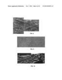 Polynorbornene Pervaporation Membrane Films, Preparation and Use Thereof diagram and image