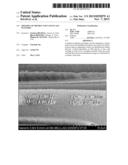 MOLDING OF MICRON AND NANO SCALE FEATURES diagram and image