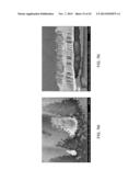 MOLDING OF MICRON AND NANO SCALE FEATURES diagram and image