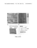 Graphene Shield Enhanced Photocathodes and Methods for Making the Same diagram and image