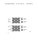 POLARIZATION SELECTIVE SCATTERING SECURITY DEVICE AND METHOD FOR     MANUFACTURING THE SAME diagram and image