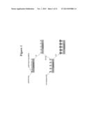 Nanoparticle array with tunable nanoparticle size and separation diagram and image