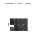 Nanoparticle array with tunable nanoparticle size and separation diagram and image