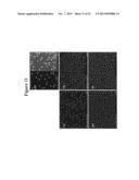 Nanoparticle array with tunable nanoparticle size and separation diagram and image