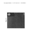 Nanoparticle array with tunable nanoparticle size and separation diagram and image