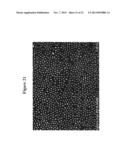 Nanoparticle array with tunable nanoparticle size and separation diagram and image