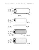 MULTICORE OPTICAL FIBER (VARIANTS) diagram and image