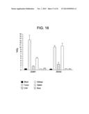 HER2 BINDING PEPTIDES LABELLED WITH A 18F - CONTAINING ORGANOSILICON     COMPOUND diagram and image