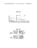 HER2 BINDING PEPTIDES LABELLED WITH A 18F - CONTAINING ORGANOSILICON     COMPOUND diagram and image