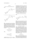 HER2 BINDING PEPTIDES LABELLED WITH A 18F - CONTAINING ORGANOSILICON     COMPOUND diagram and image