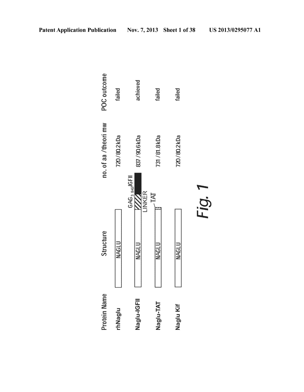 TREATMENT OF SANFILIPPO SYNDROME TYPE B - diagram, schematic, and image 02