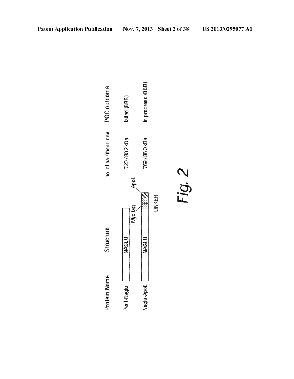 TREATMENT OF SANFILIPPO SYNDROME TYPE B - diagram, schematic, and image 03