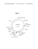 PROSTATE-ASSOCIATED ANTIGENS AND VACCINE-BASED IMMUNOTHERAPY REGIMENS diagram and image