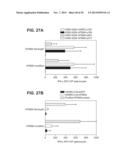 PROSTATE-ASSOCIATED ANTIGENS AND VACCINE-BASED IMMUNOTHERAPY REGIMENS diagram and image