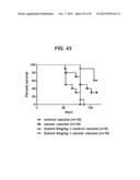 PROSTATE-ASSOCIATED ANTIGENS AND VACCINE-BASED IMMUNOTHERAPY REGIMENS diagram and image