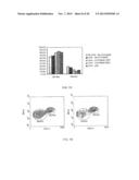 Activation of Innate and Adaptive Immune Responses by a Ginseng Extract diagram and image
