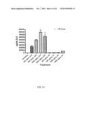 Activation of Innate and Adaptive Immune Responses by a Ginseng Extract diagram and image