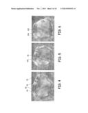 Methods and Devices for Making Pre-Cooked Eggs Having a Natural Appearance diagram and image