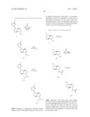 ISOSORBIDE DERIVATIVES AND THEIR USE AS FLAVOR MODIFIERS, TASTANTS, AND     TASTE ENHANCERS diagram and image