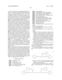 ELECTROPHOTOGRAPHIC PHOTOCONDUCTOR, AND IMAGE FORMING METHOD, IMAGE     FORMING APPARATUS, AND PROCESS CARTRIDGE USING THE ELECTROPHOTOGRAPHIC     PHOTOCONDUCTOR diagram and image