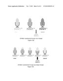 Consumer Information and Sensing System for Nutritional Substances diagram and image